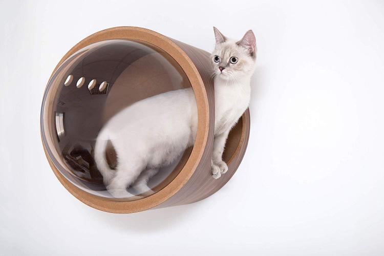Bubble Window Wall-Mounted Cat Bed - Floating futuristic spaceship cat bed lounger - MYZOO Spaceship gamma