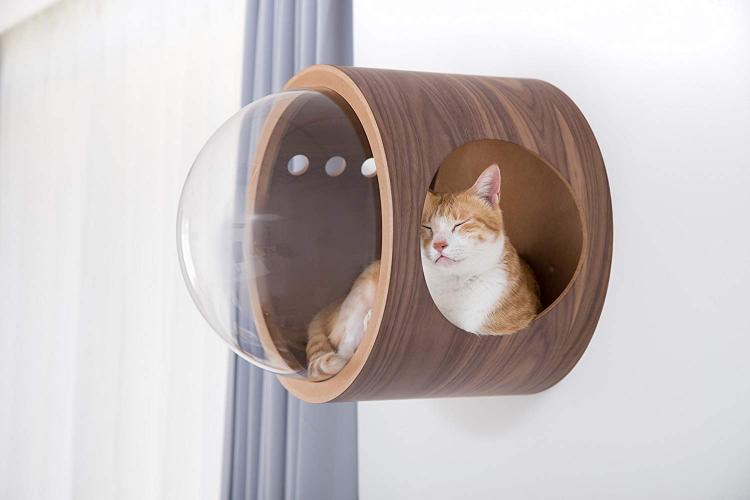 Bubble Window Wall-Mounted Cat Bed - Floating futuristic spaceship cat bed lounger - MYZOO Spaceship gamma