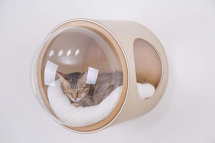 Bubble Window Wall-Mounted Cat Bed - Floating futuristic spaceship cat bed lounger - MYZOO Spaceship gamma
