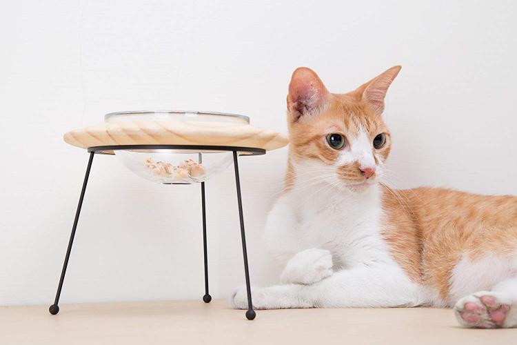 Bubble Window Wall-Mounted Cat Bed - Floating futuristic spaceship cat bed lounger - MYZOO Spaceship gamma