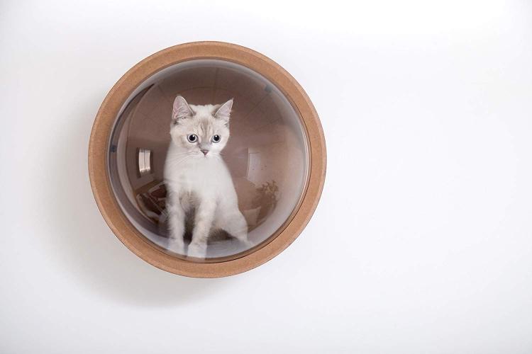 Bubble Window Wall-Mounted Cat Bed - Floating futuristic spaceship cat bed lounger - MYZOO Spaceship gamma