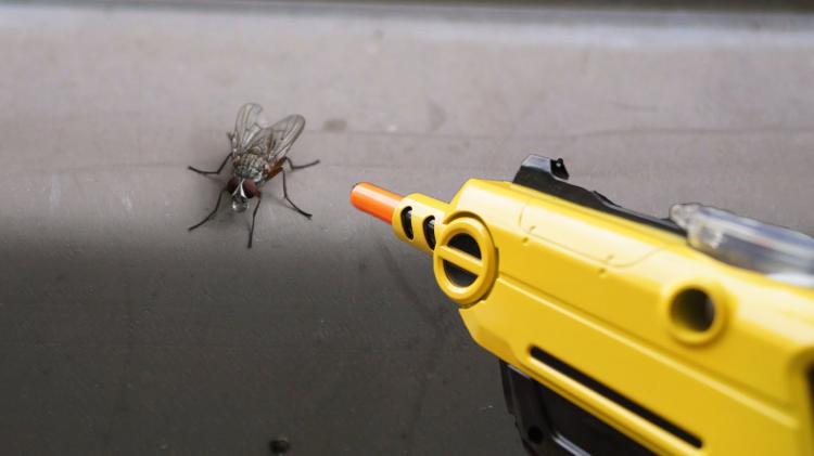 Bug-a-Salt Salt Gun - Fly Salt Gun