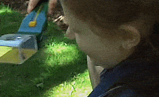 BugView: Bug Catching Tool Helps Catch and Analyze Bugs - Bug Capture Toy