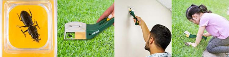 BugView: Bug Catching Tool Helps Catch and Analyze Bugs - Bug Capture Toy
