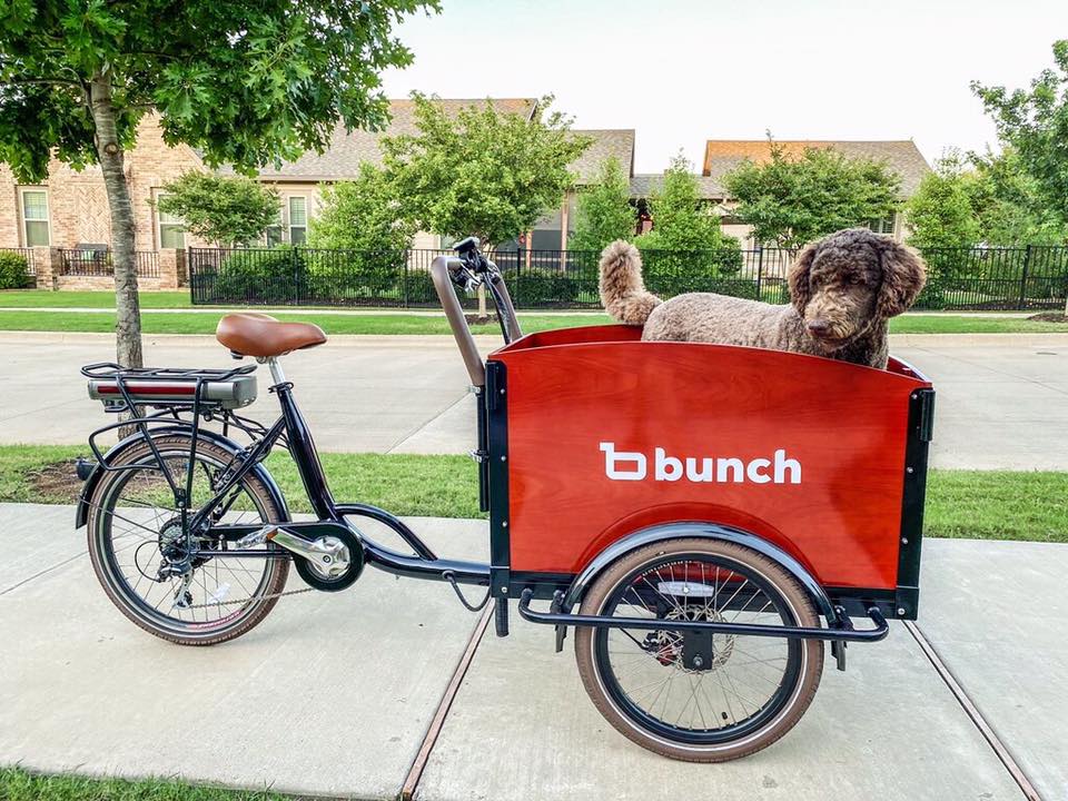 Bunch Cargo Bike - Electric Trike Front Load Toddler Carrier Bike