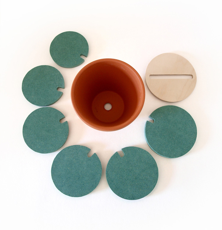 Cactus Coasters