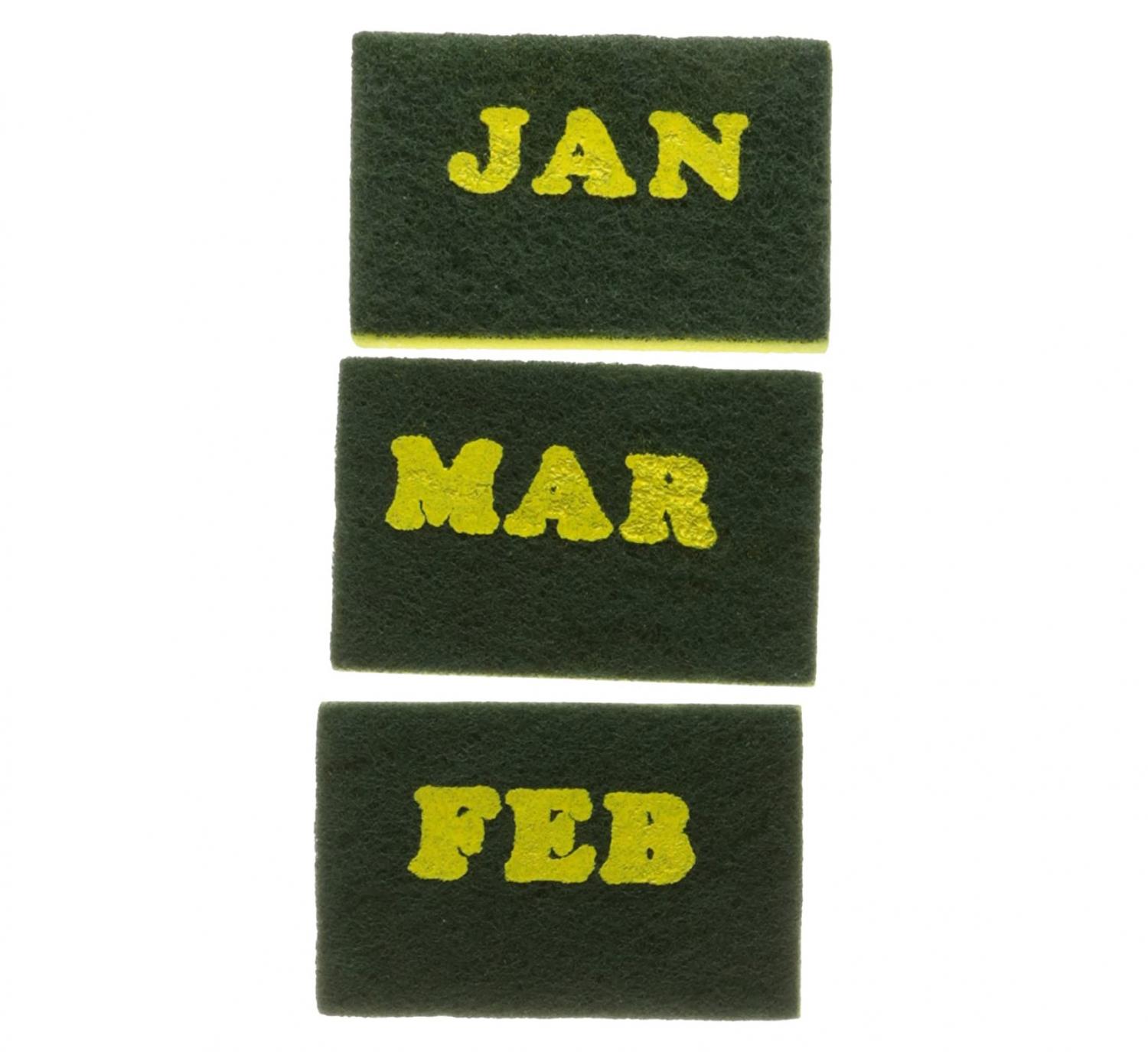 Calendar Sponges - Sponges With Months Written On Them