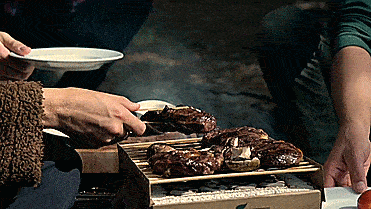 CasusGrill: Biodegradable, Portable and Disposable Mini Grill - Best Travel BBQ Grill
