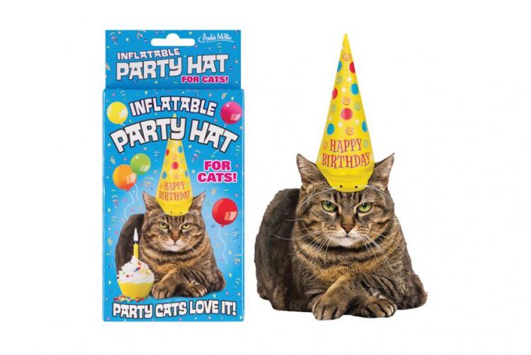 Cat Birthday Hat Cat Hat