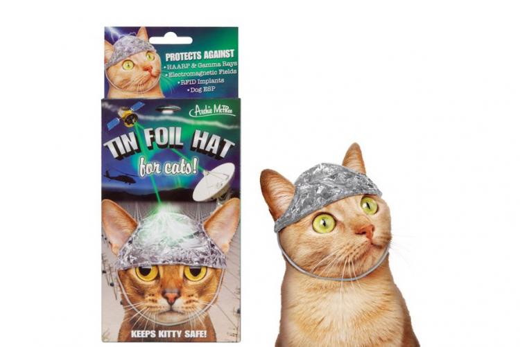 Cat tinfoil hat cat hat