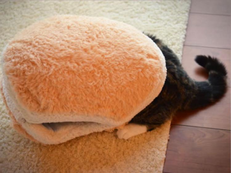 Cat Burger Bed