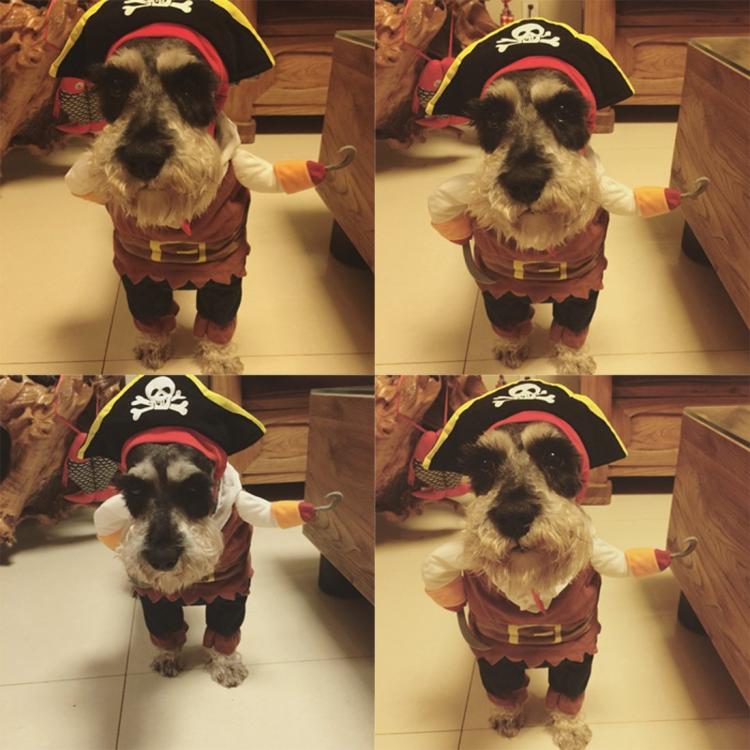 Dog Pirate Costume