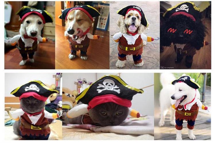 Cat Pirate Costume
