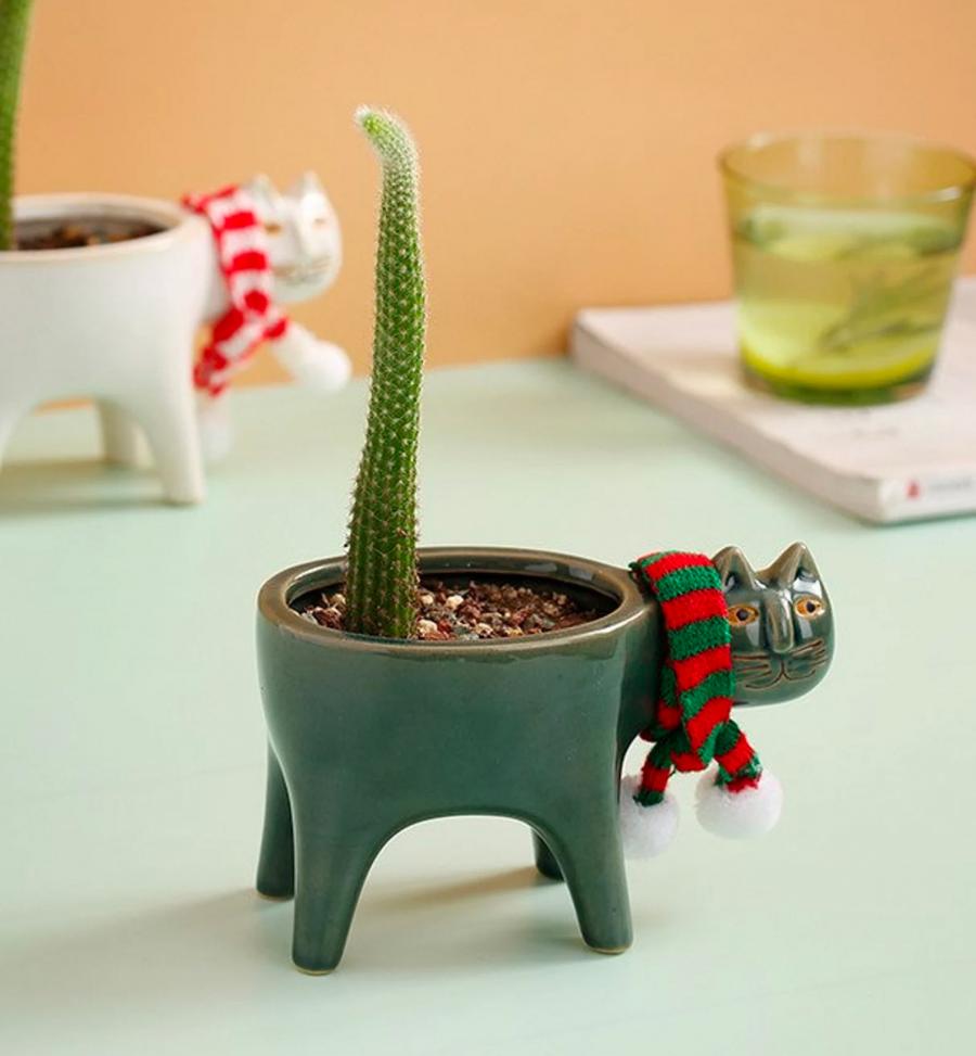Cat Planters With Cactus tail