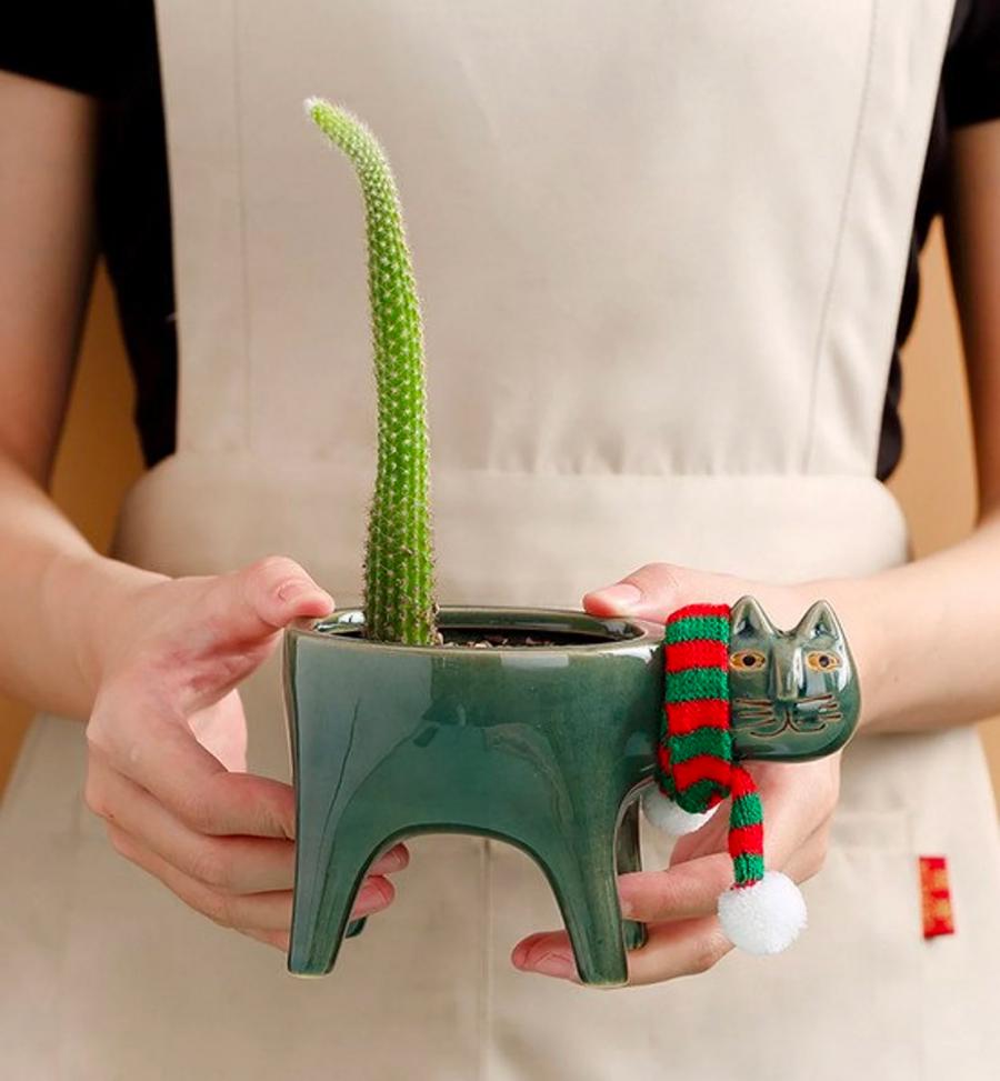 Cat Planters With Cactus tail