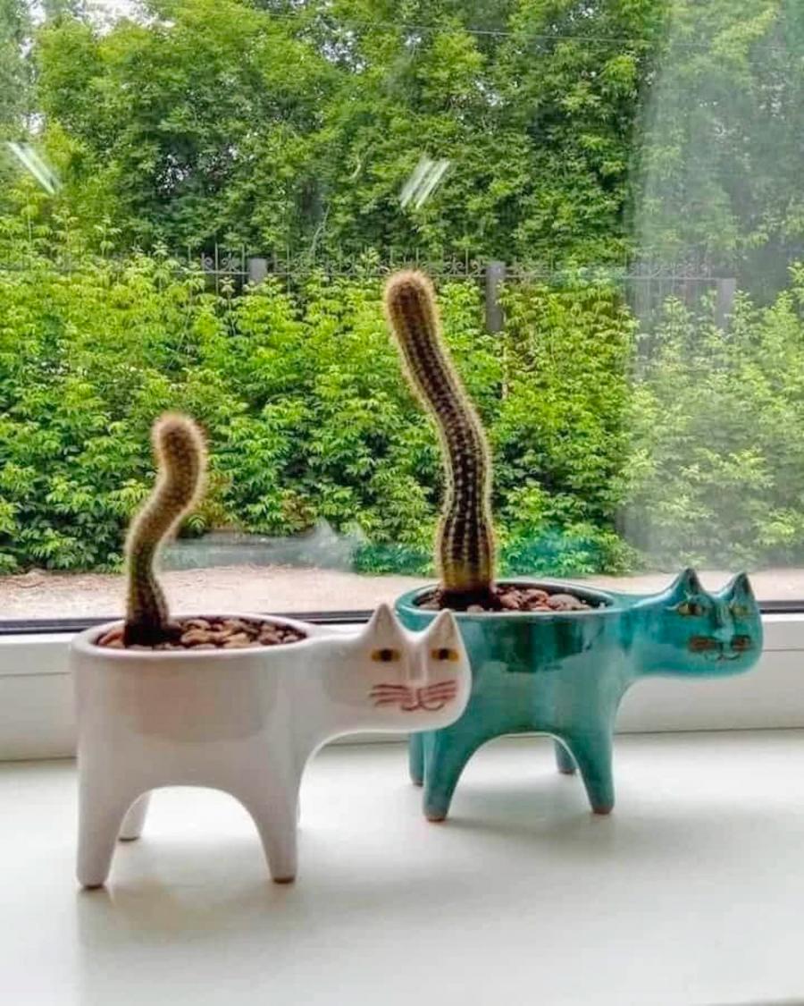 Cat Planters With Cactus tail