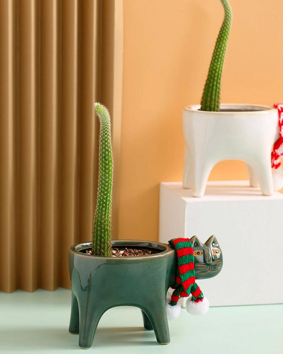 Cat Planters With Cactus tail