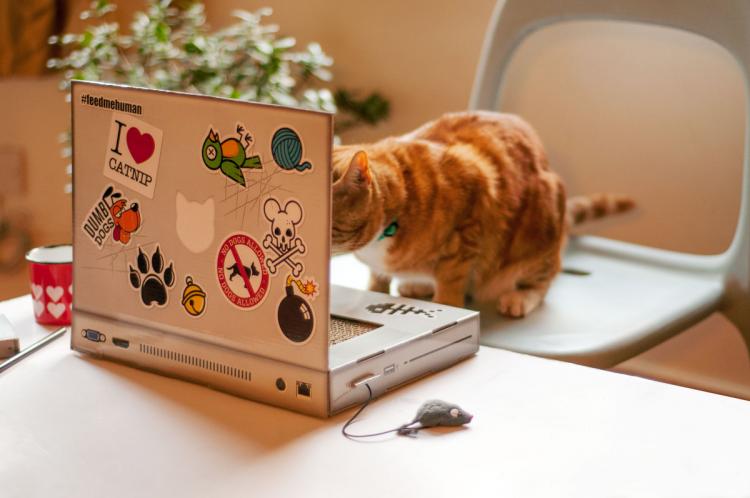 Cat Scratch Laptop - Toy Laptop For Cats