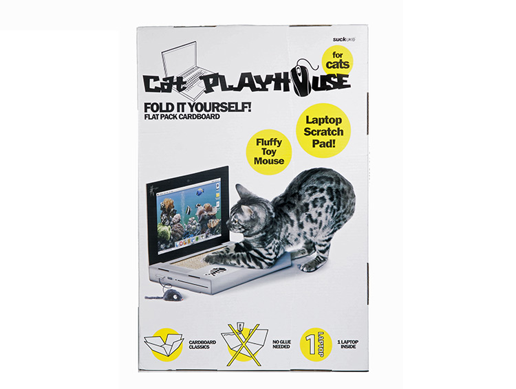 Cat Scratch Laptop - Toy Laptop For Cats
