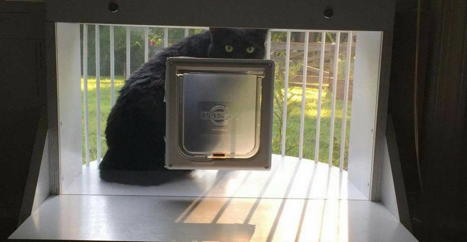 Cat Solarium Cat Patio in window