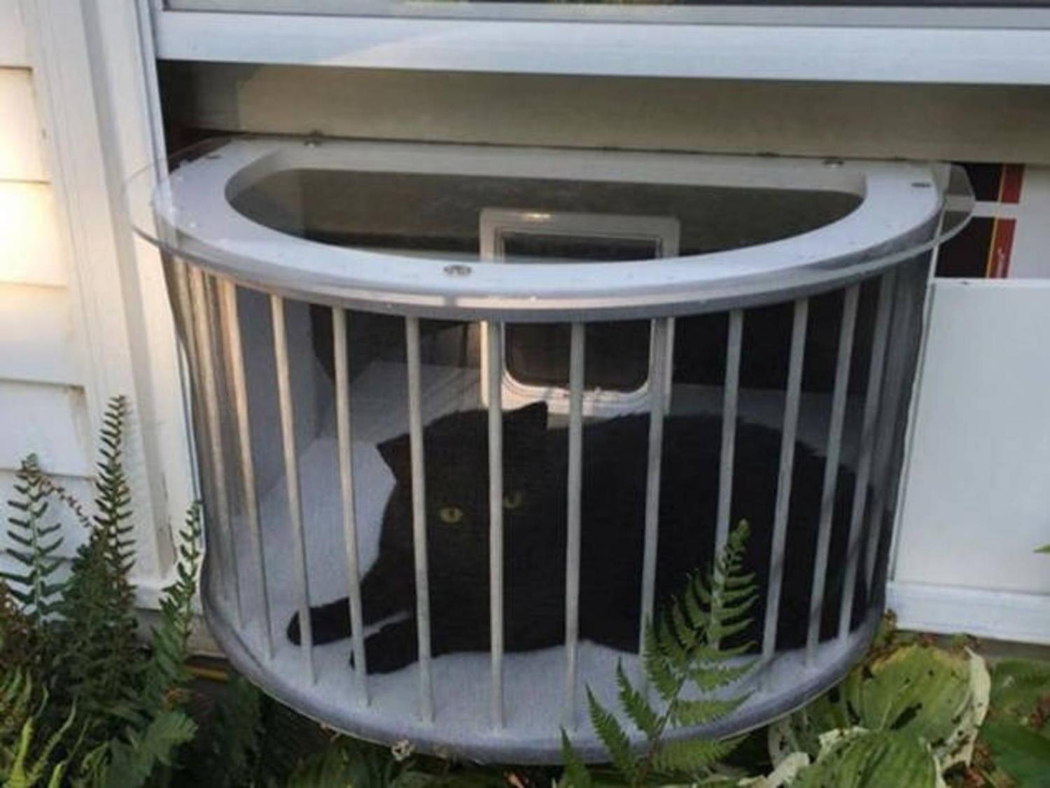 Cat Solarium Cat Patio in window