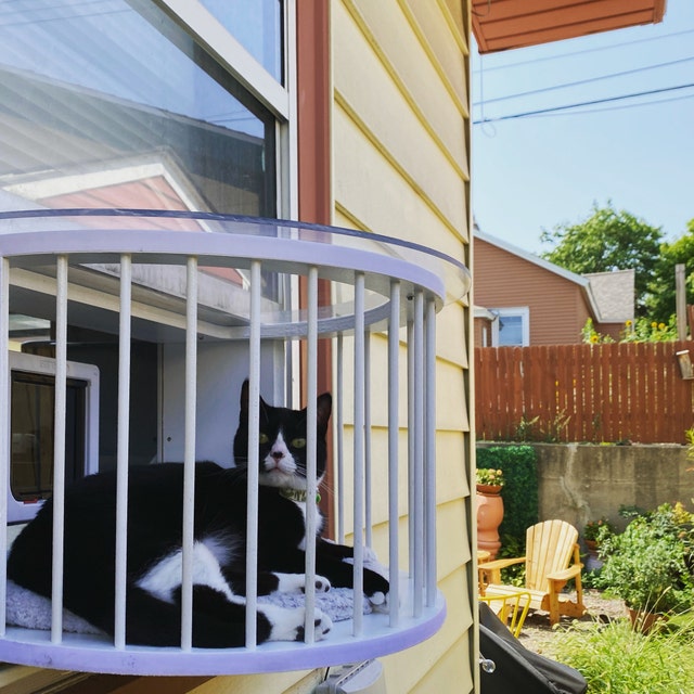 Cat Solarium Cat Patio in window
