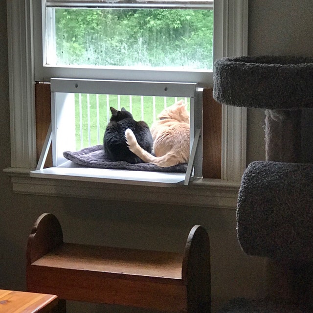 Cat Solarium Cat Patio in window