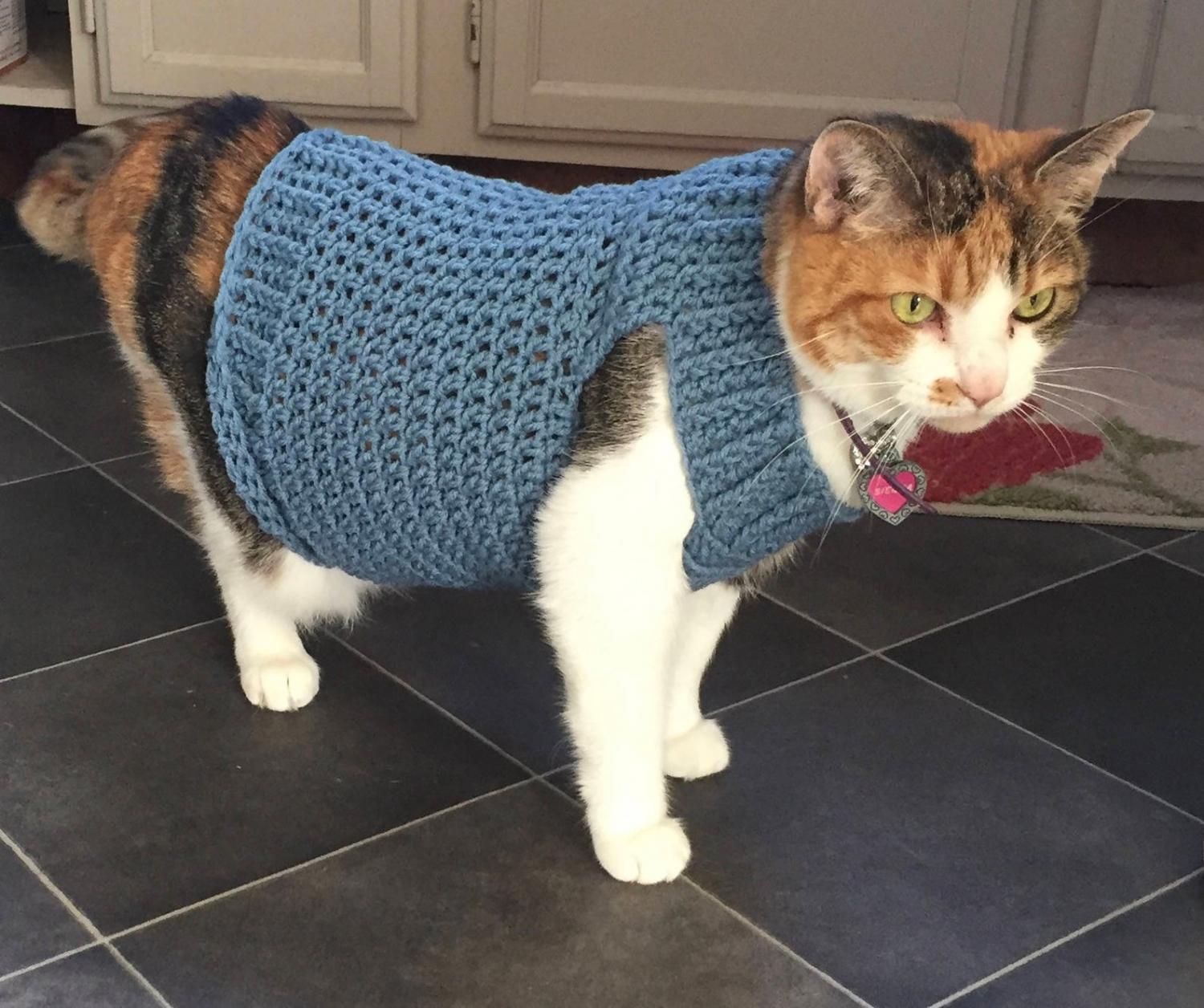 Cat Cardigan Sweater - Sweater for cats
