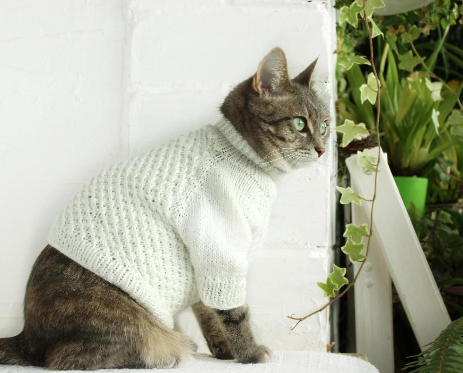 Cat Cardigan Sweater - Sweater for cats