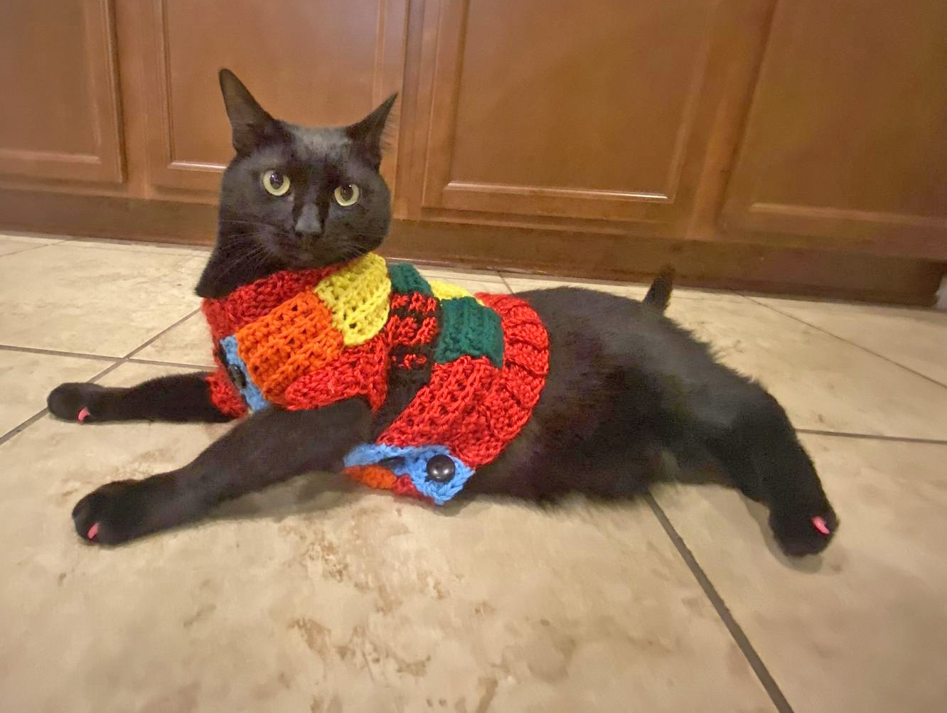Cat Cardigan Sweater - Sweater for cats