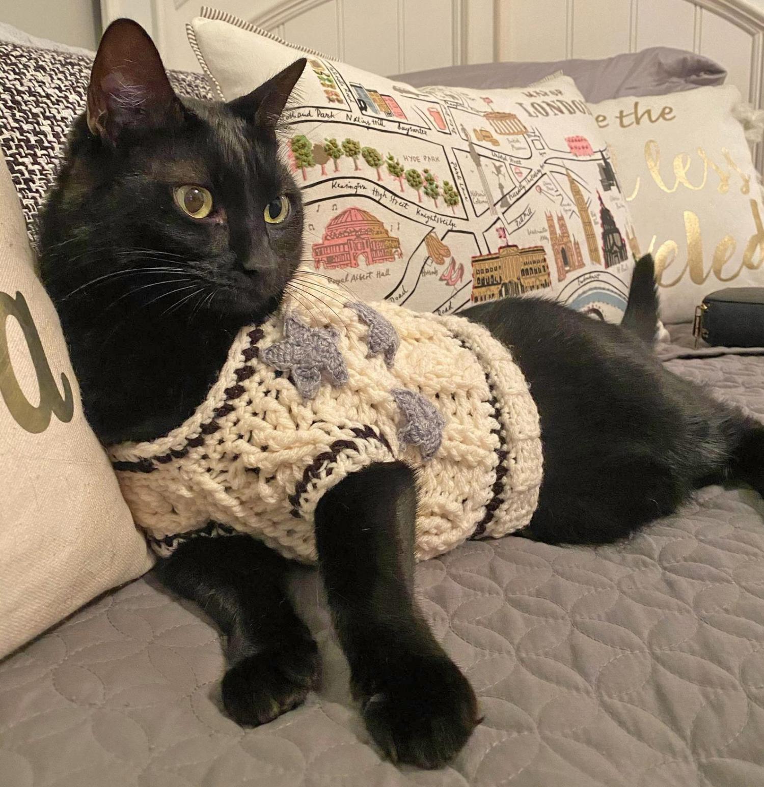 Cat Cardigan Sweater - Sweater for cats