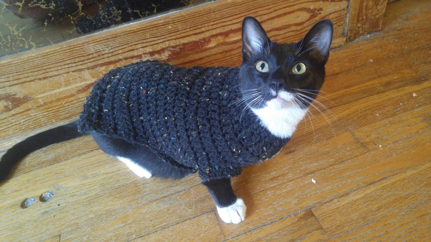 Cat Cardigan Sweater - Sweater for cats