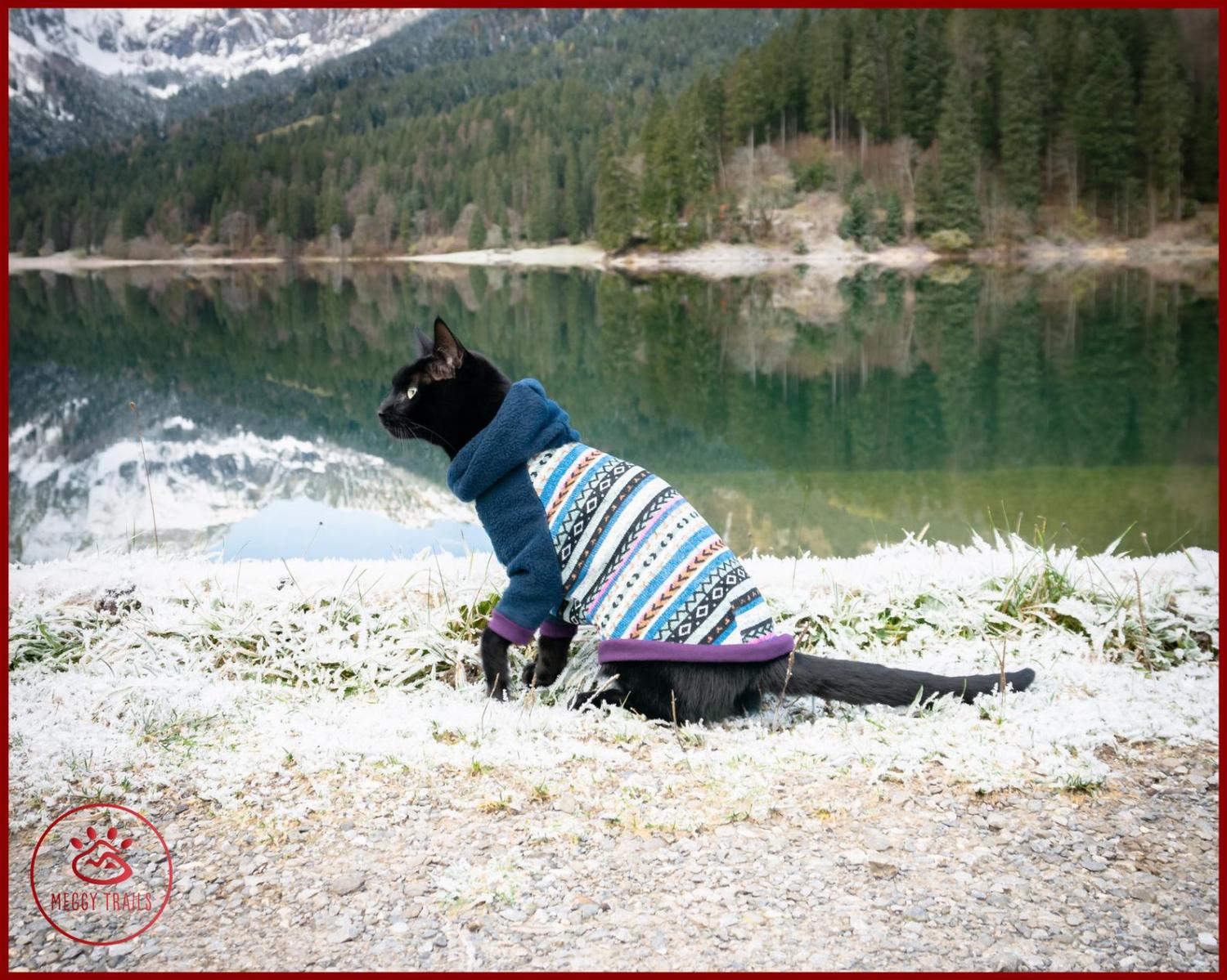 Cat Cardigan Sweater - Sweater for cats