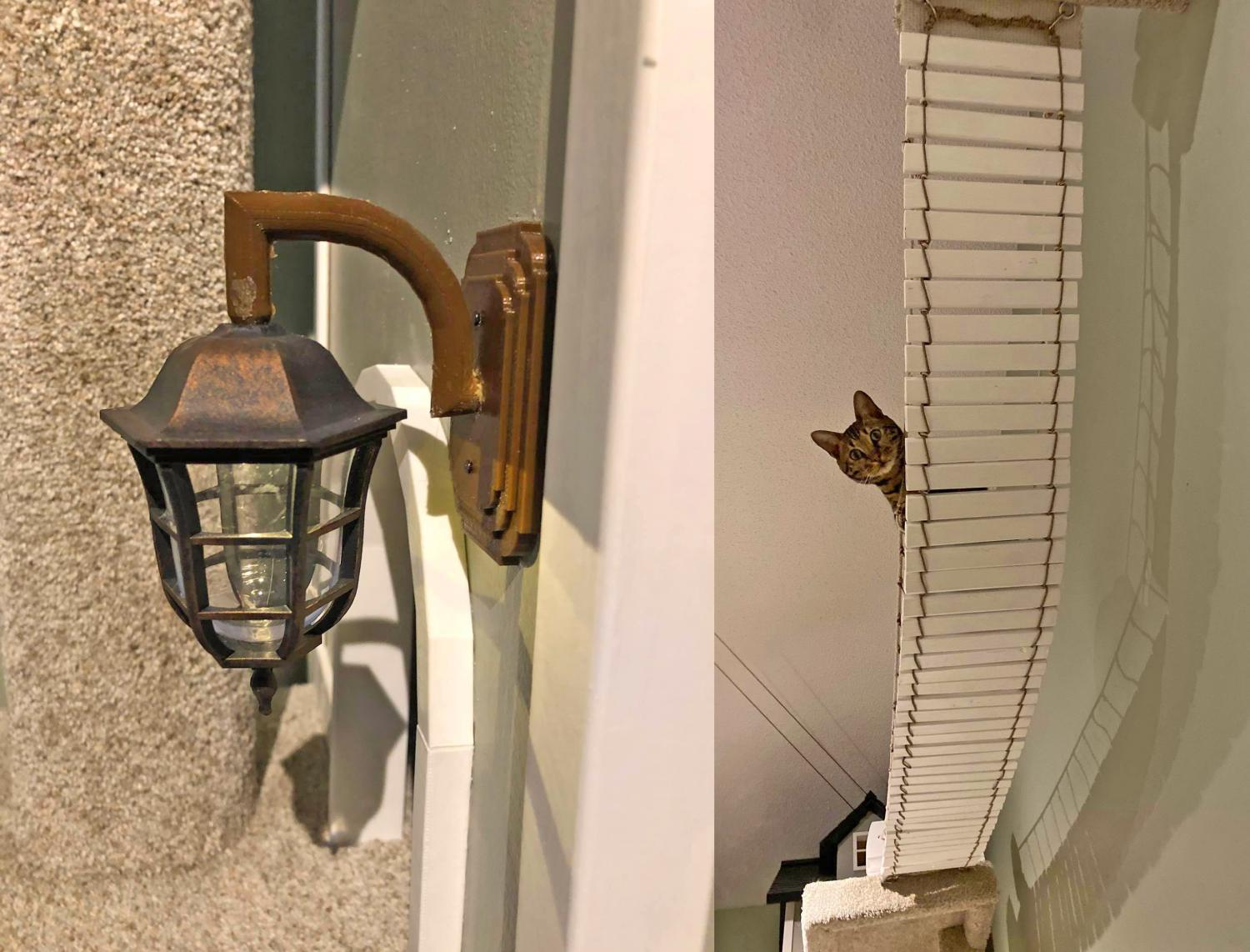 Incredible Cat Towers With Connecting Bridge - The Ultimate Cat Playhouse Detailed Cat Towers