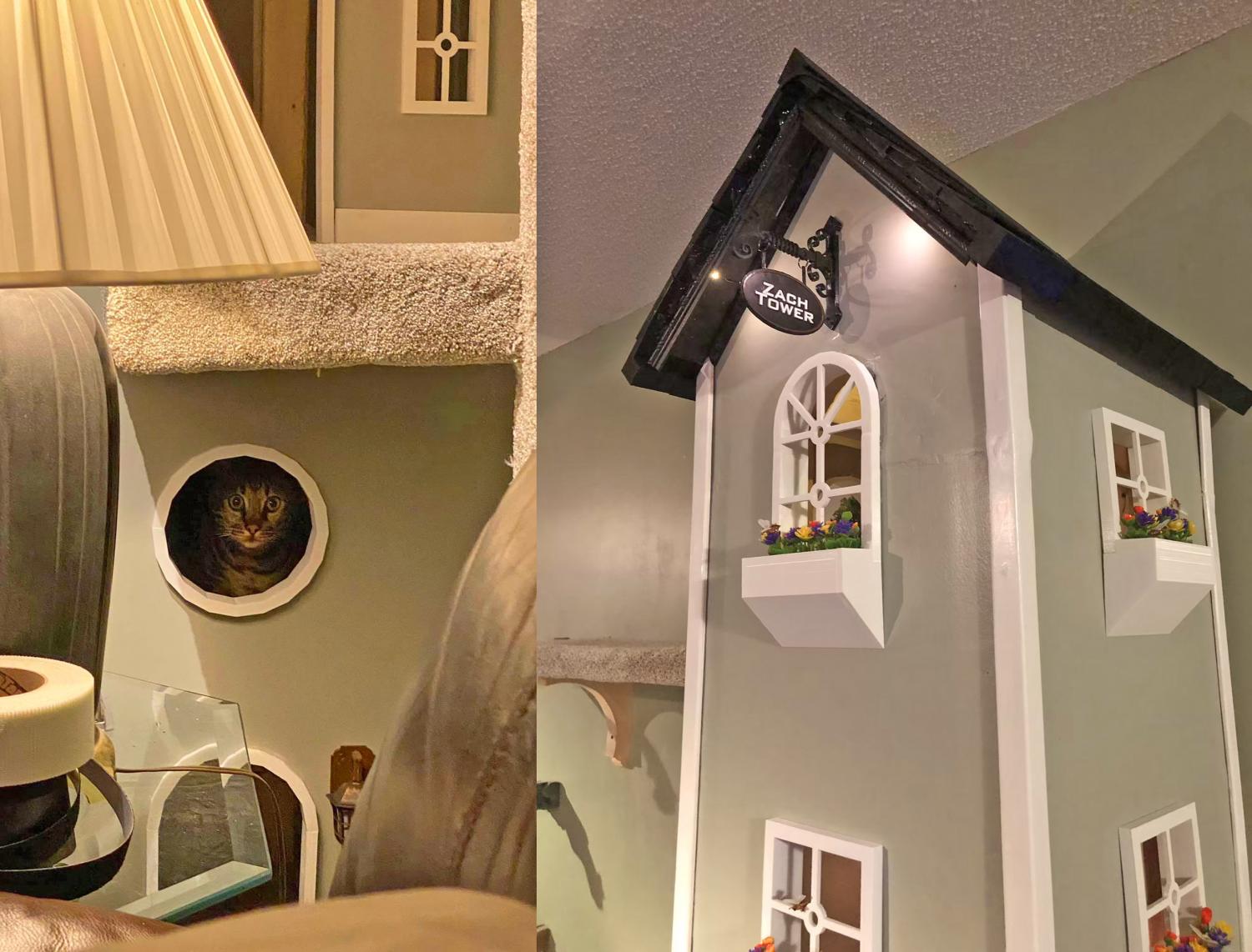 Incredible Cat Towers With Connecting Bridge - The Ultimate Cat Playhouse Detailed Cat Towers
