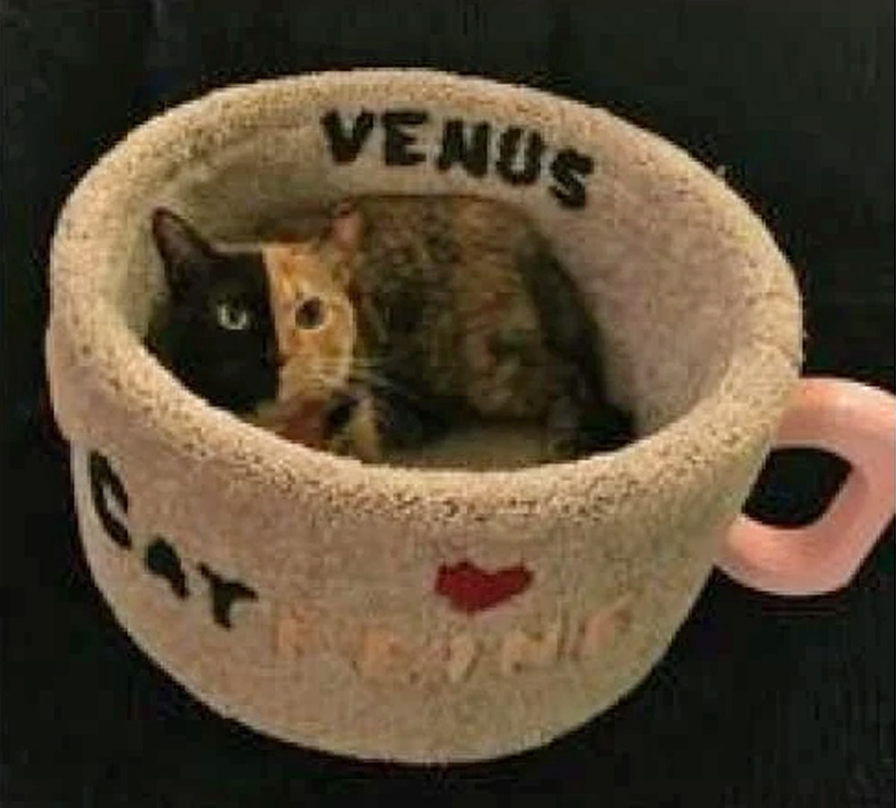 Catfeine Coffee Mug Shaped Cat Bed - Caffeine Cat Bed