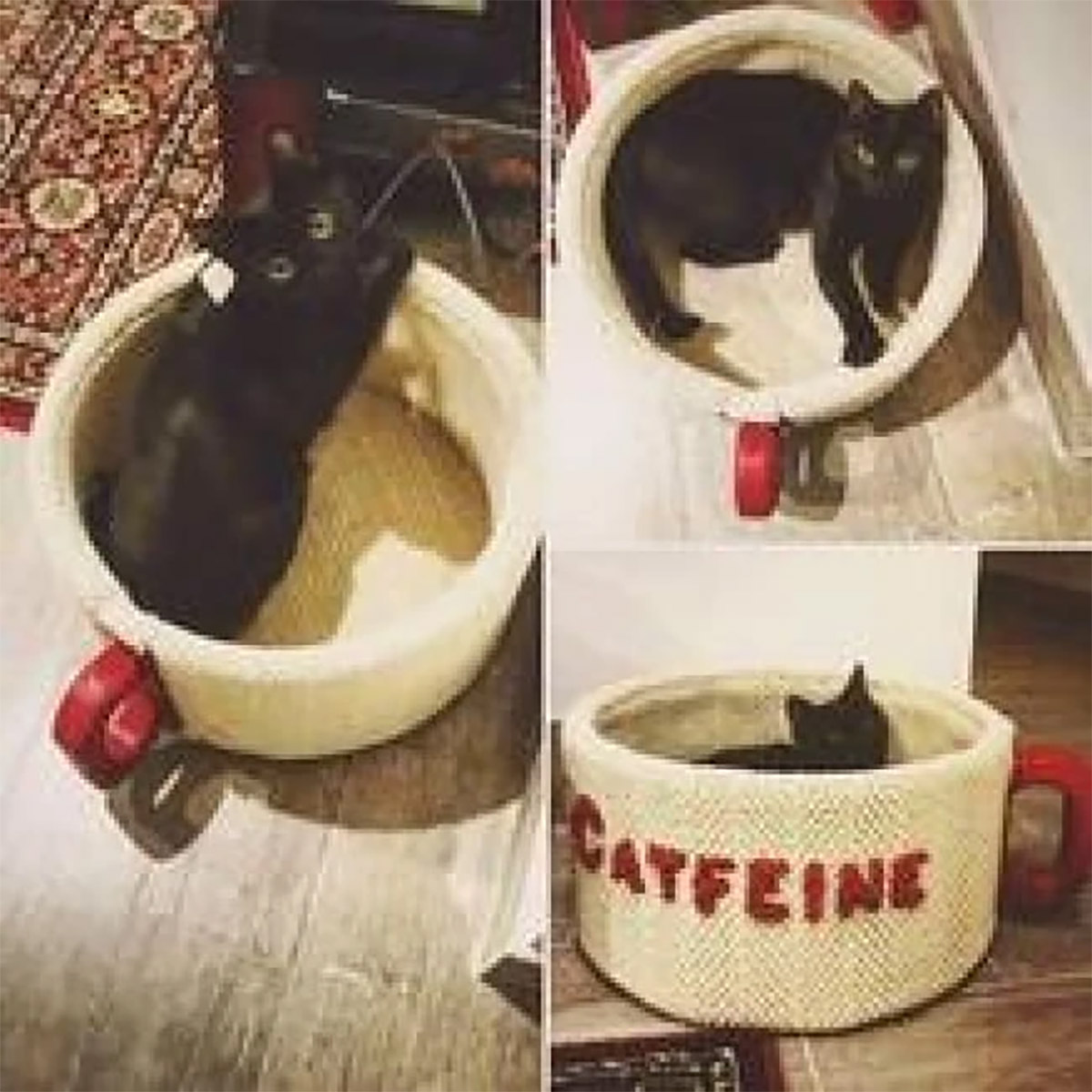 Catfeine Coffee Mug Shaped Cat Bed - Caffeine Cat Bed