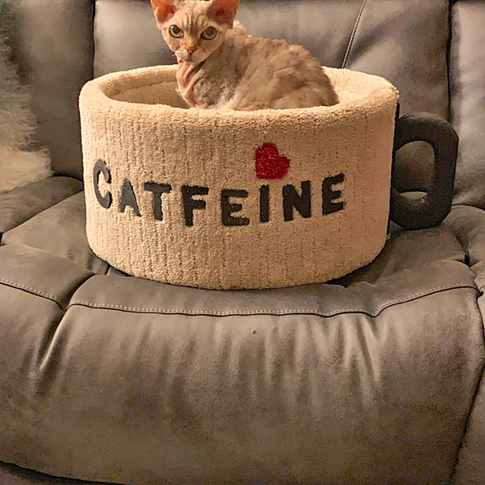 Catfeine Coffee Mug Shaped Cat Bed - Caffeine Cat Bed