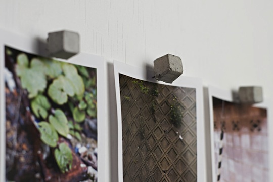 Cement Push Pins