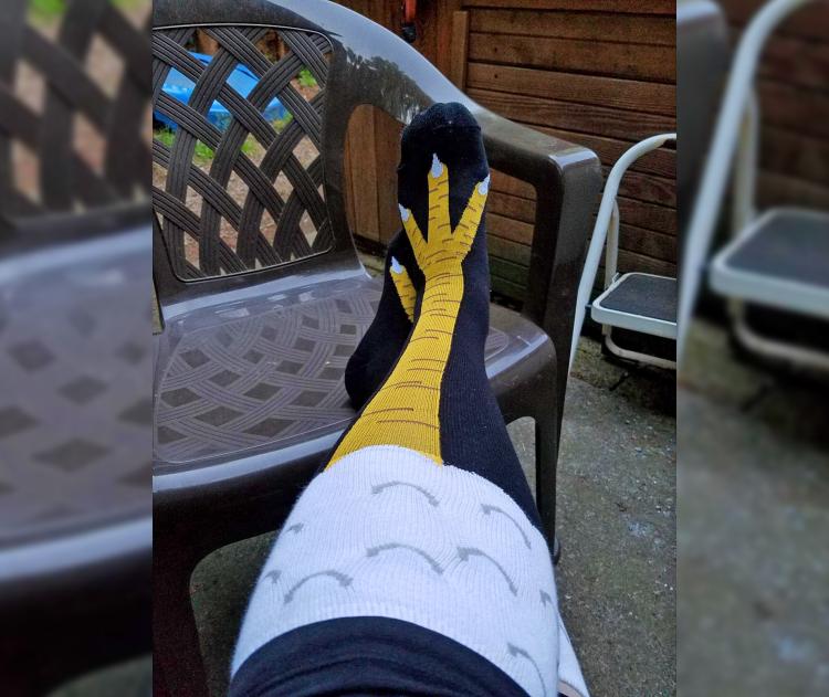 Chicken Leg Socks - Make Your Legs Look Like Chicken Legs