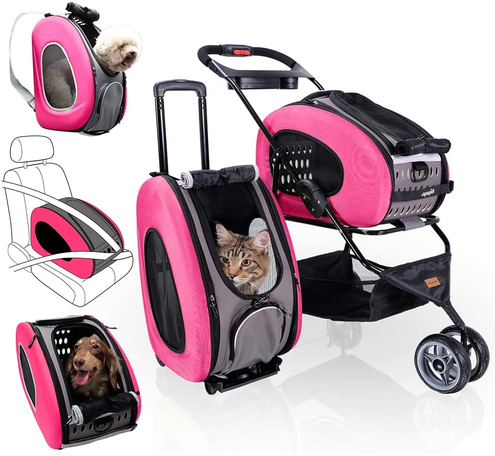 Chicken Stroller