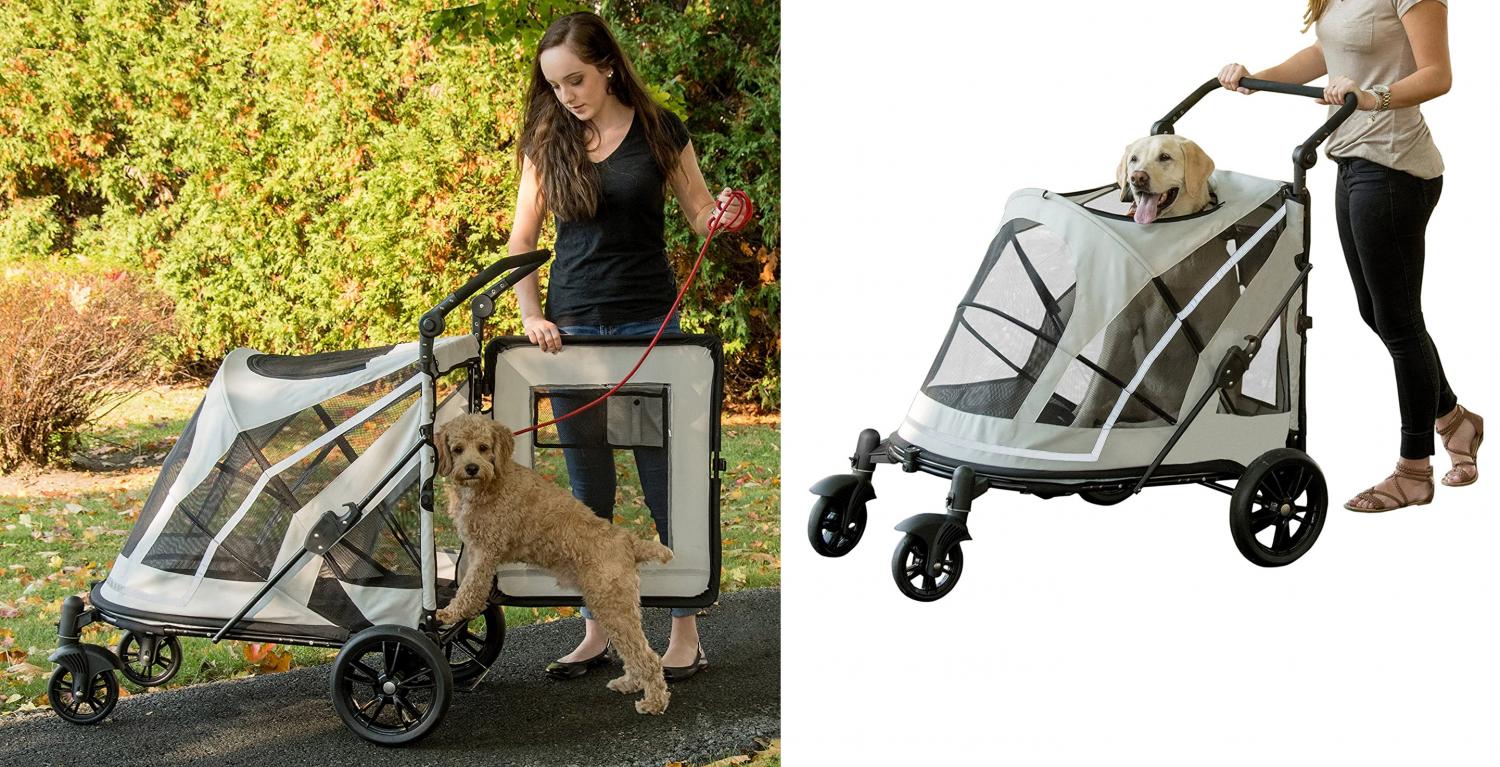 Chicken Stroller