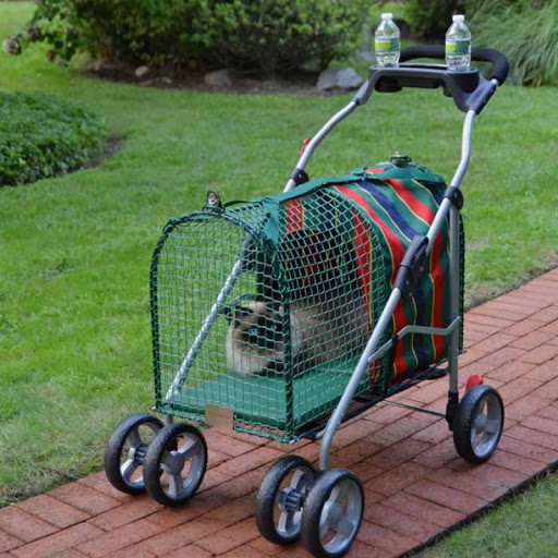 Chicken Stroller