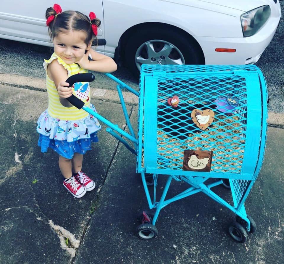 DIY Chicken Stroller