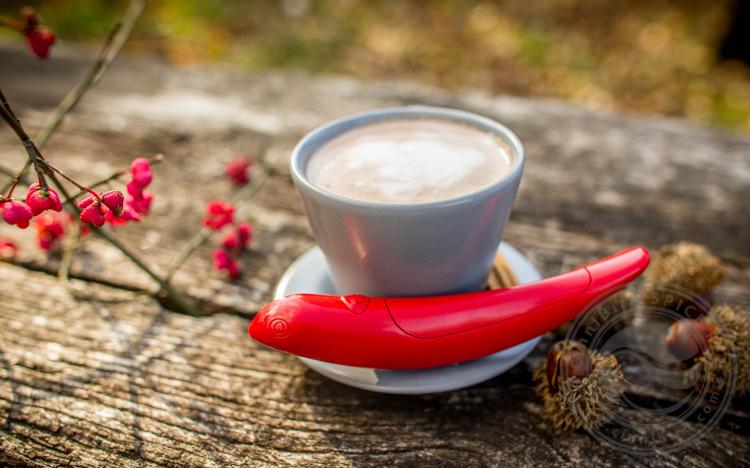 Cinnibird Coffee Design Spice Pen - Coffee spice pen lets you draw/design your own barista drinks