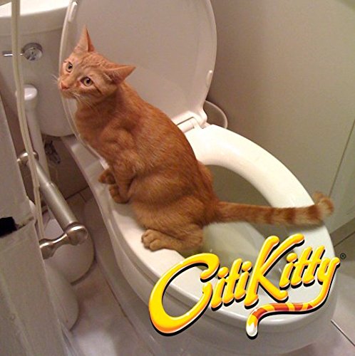 Train Your Cat To Pee In The Toilet
