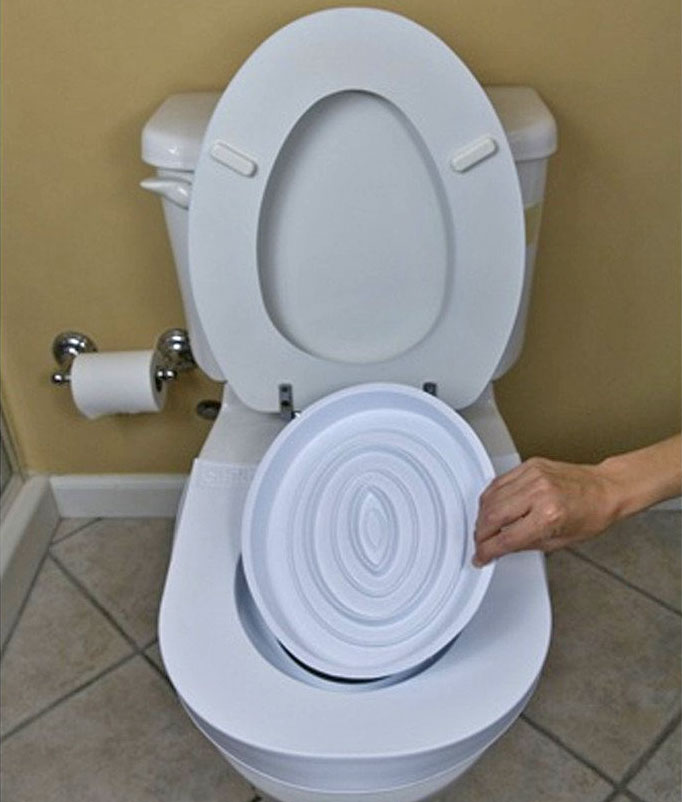 Train Your Cat To Pee In The Toilet