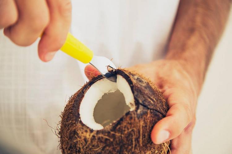 Cococrack Easy Coconut Opener - Safest coconut opener - Best coconut opener