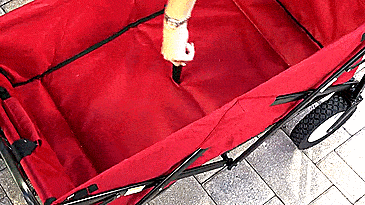 Mac Sports Collapsible Utitlity Wagon - Foldable Wagon for - Camping wagon - Beach wagon - Sports Games Wagon