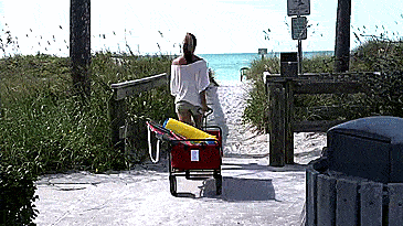 Mac Sports Collapsible Utitlity Wagon - Foldable Wagon for - Camping wagon - Beach wagon - Sports Games Wagon